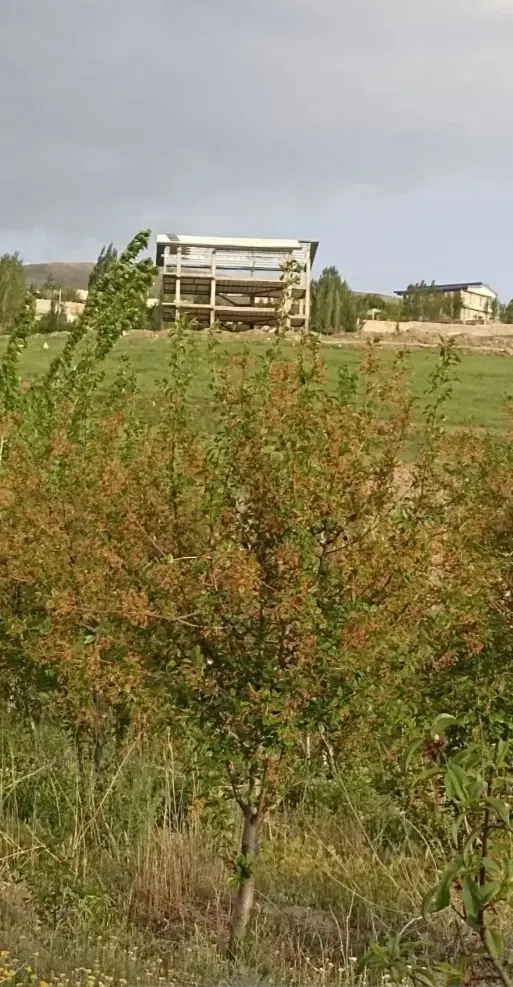 زمین۰باغ۰باغچه۰زمین کشاورزی