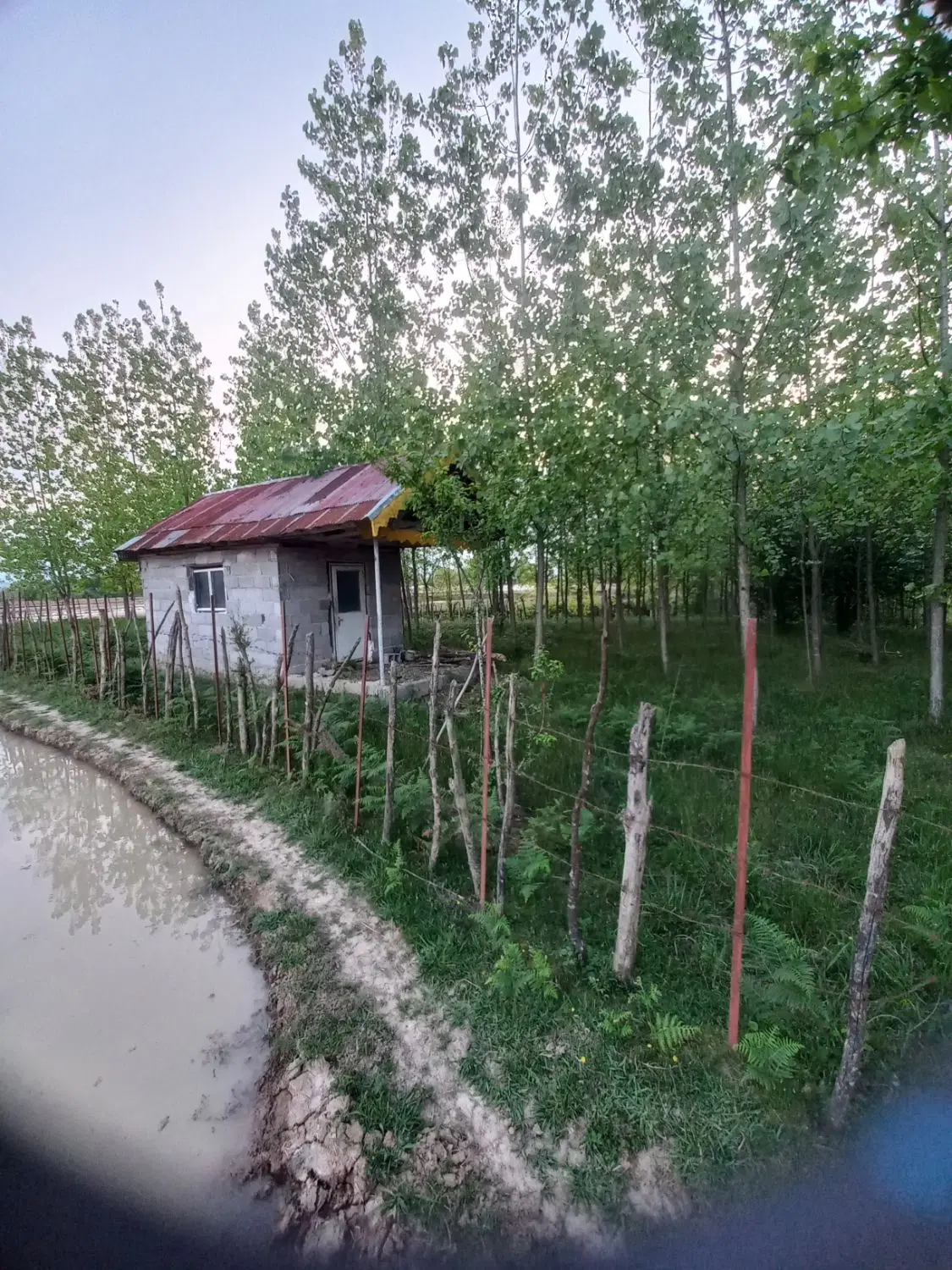 زمین باغی