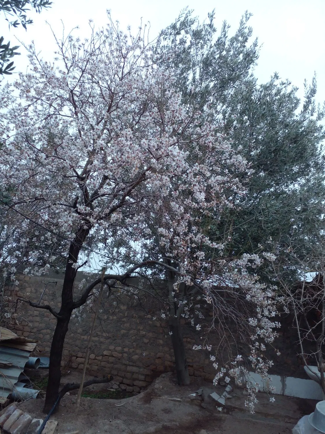 فروش اب موتور  روستای اندیس