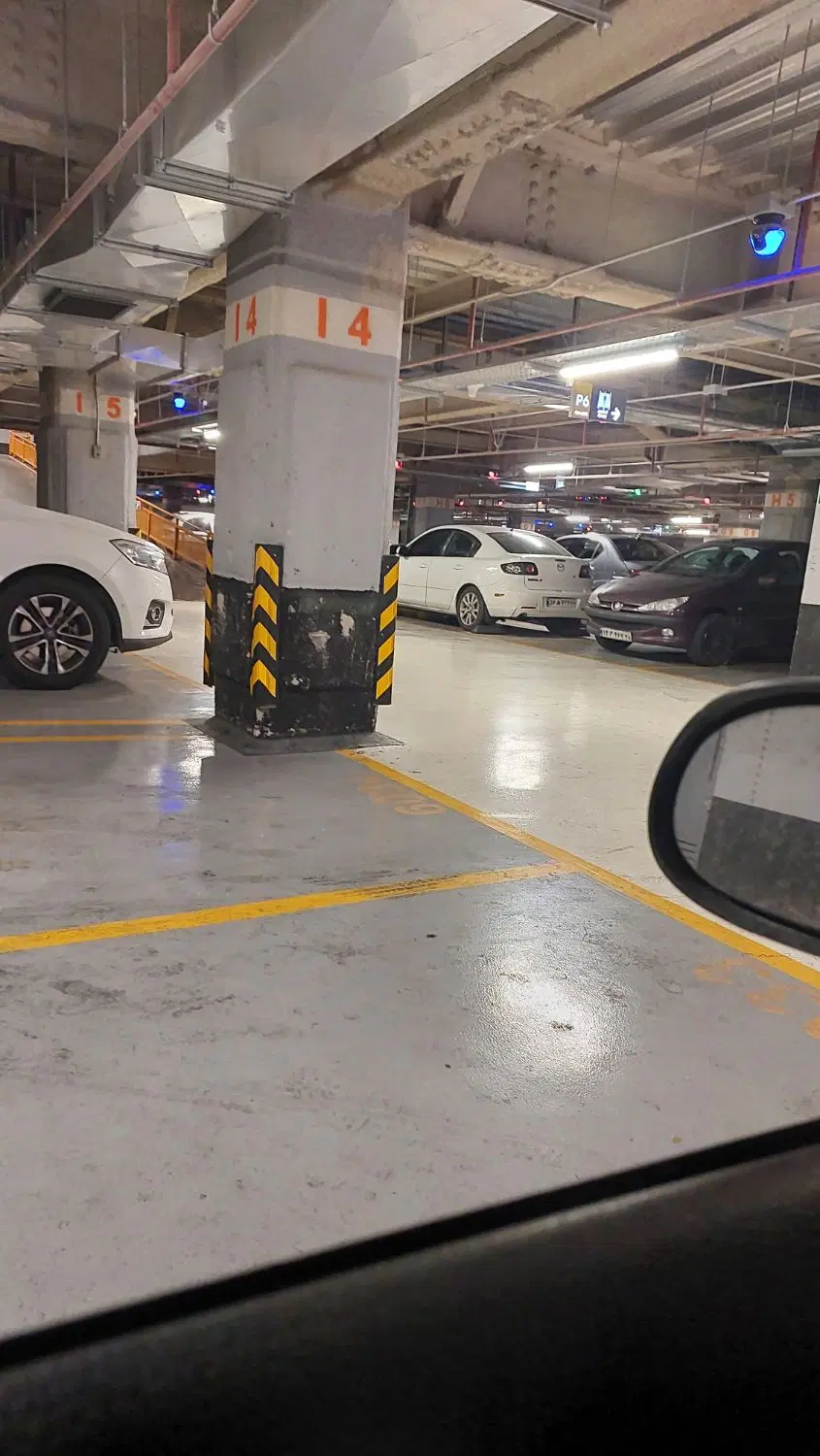 نیازمند همخونه