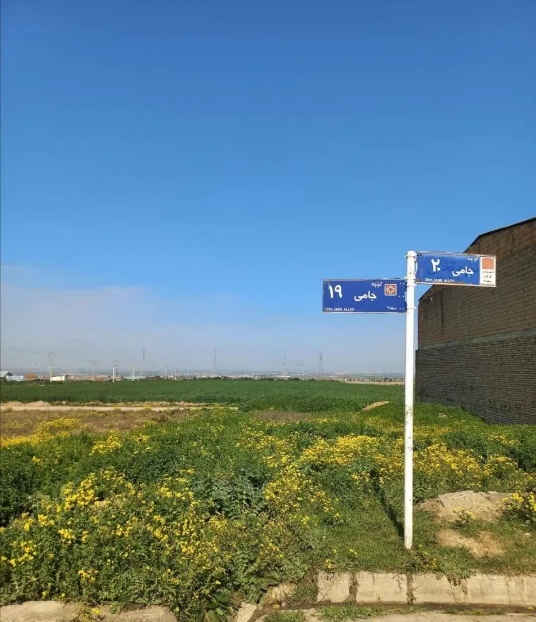 زمین کشاورزی و باغی