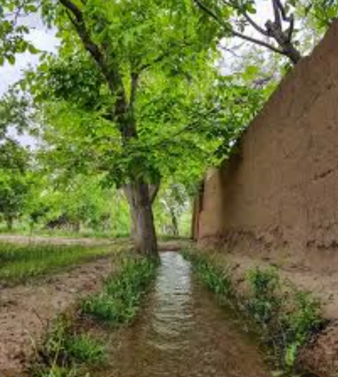 ۱۰قصب بهترین لوکیشن سیرچ و آب هوا