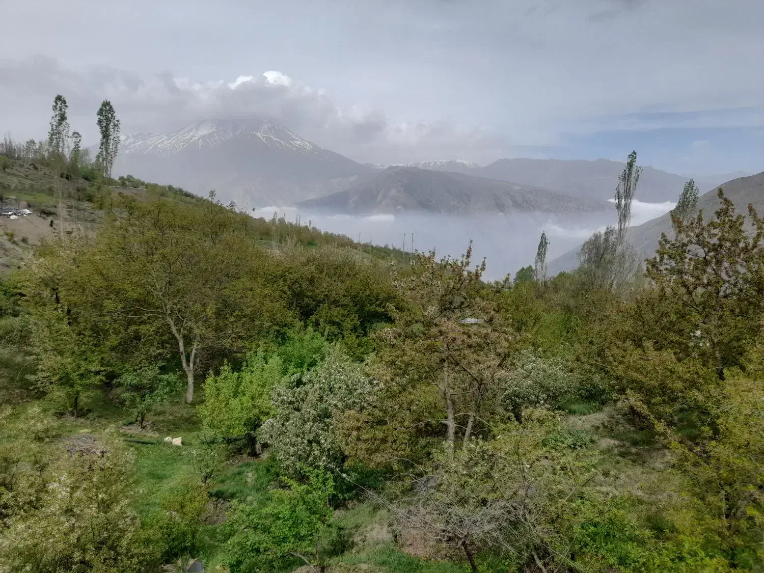 فروش زمین ییلاقی منطقه لاریجان روستای نوسر