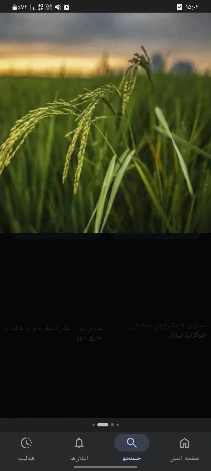 شالیزاری هزارجریب نکا