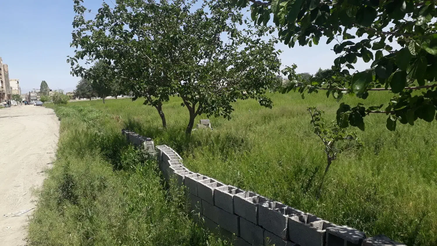 زمین کشاورزی اجاره