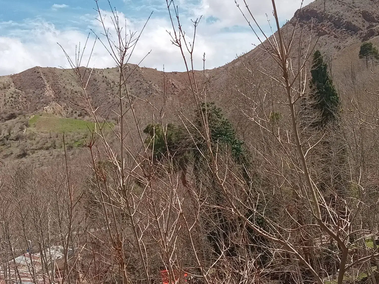 زمین خفر روستای نعمت اباد