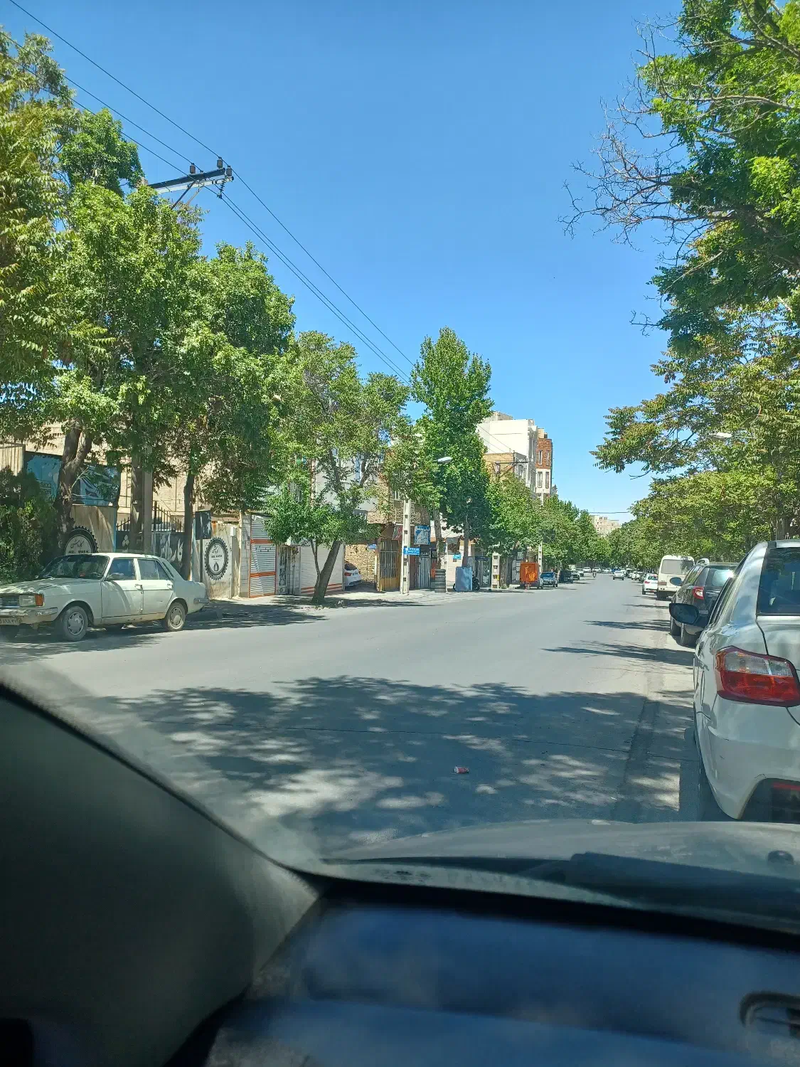 همخونه میشم