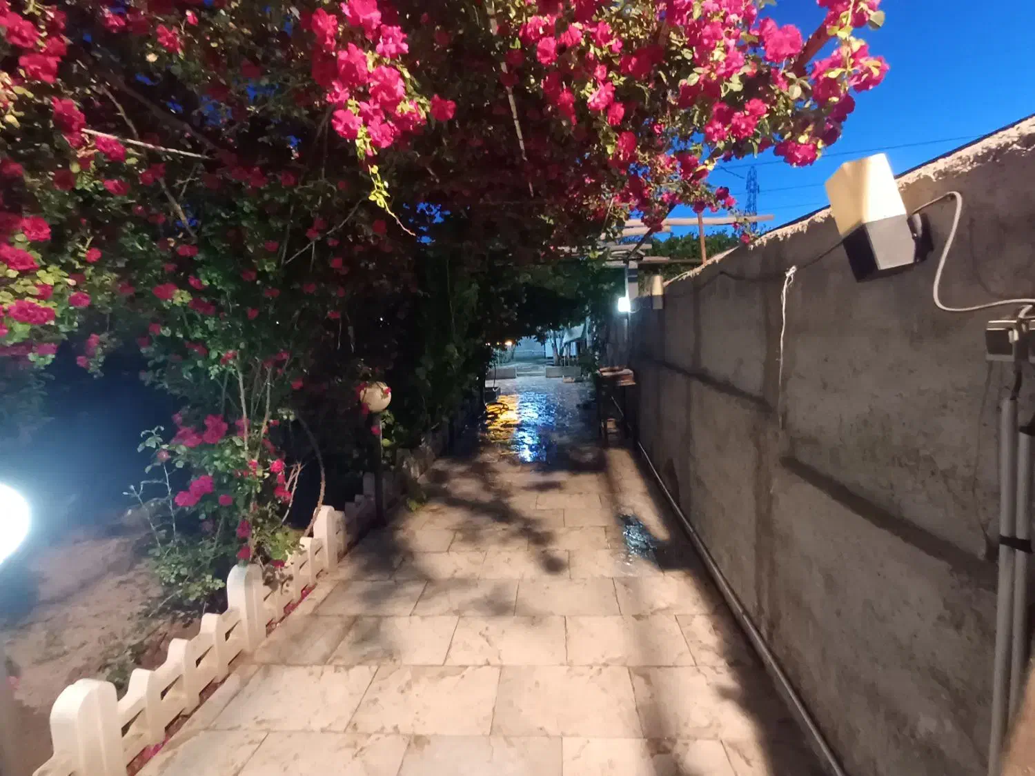 فروش باغچه