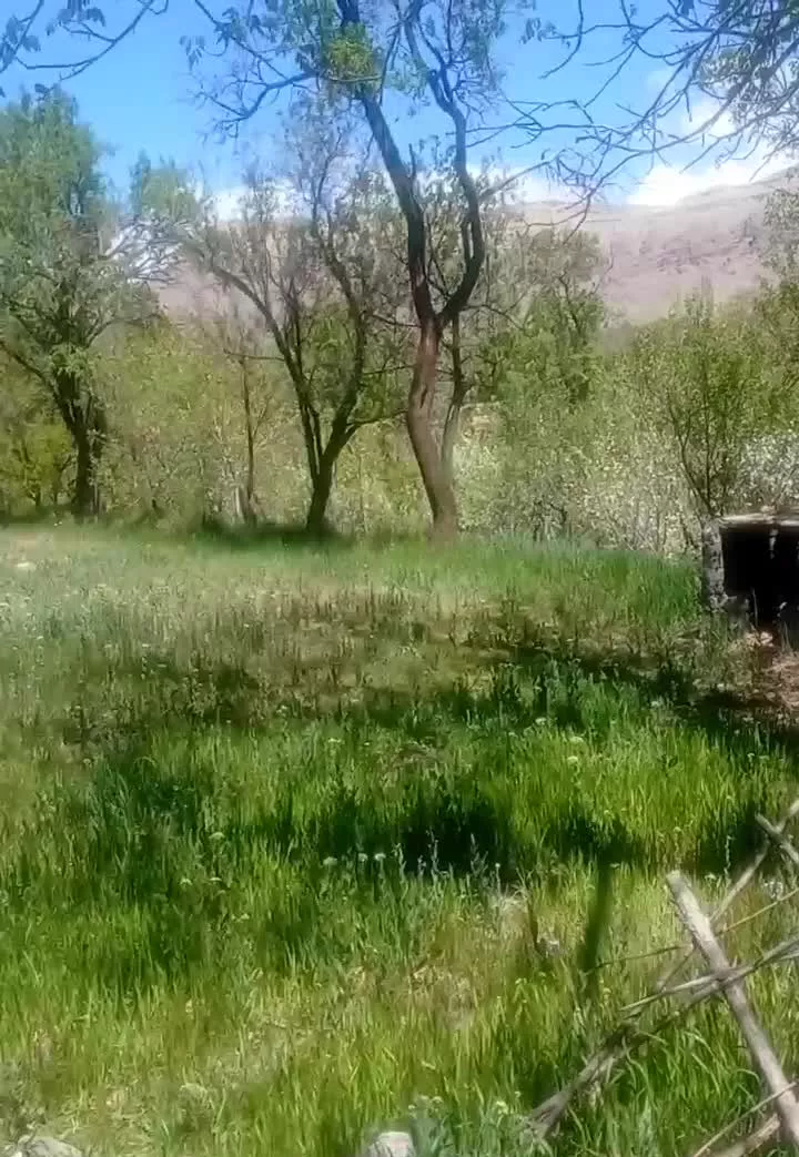 جاسب زمین کشاورژی