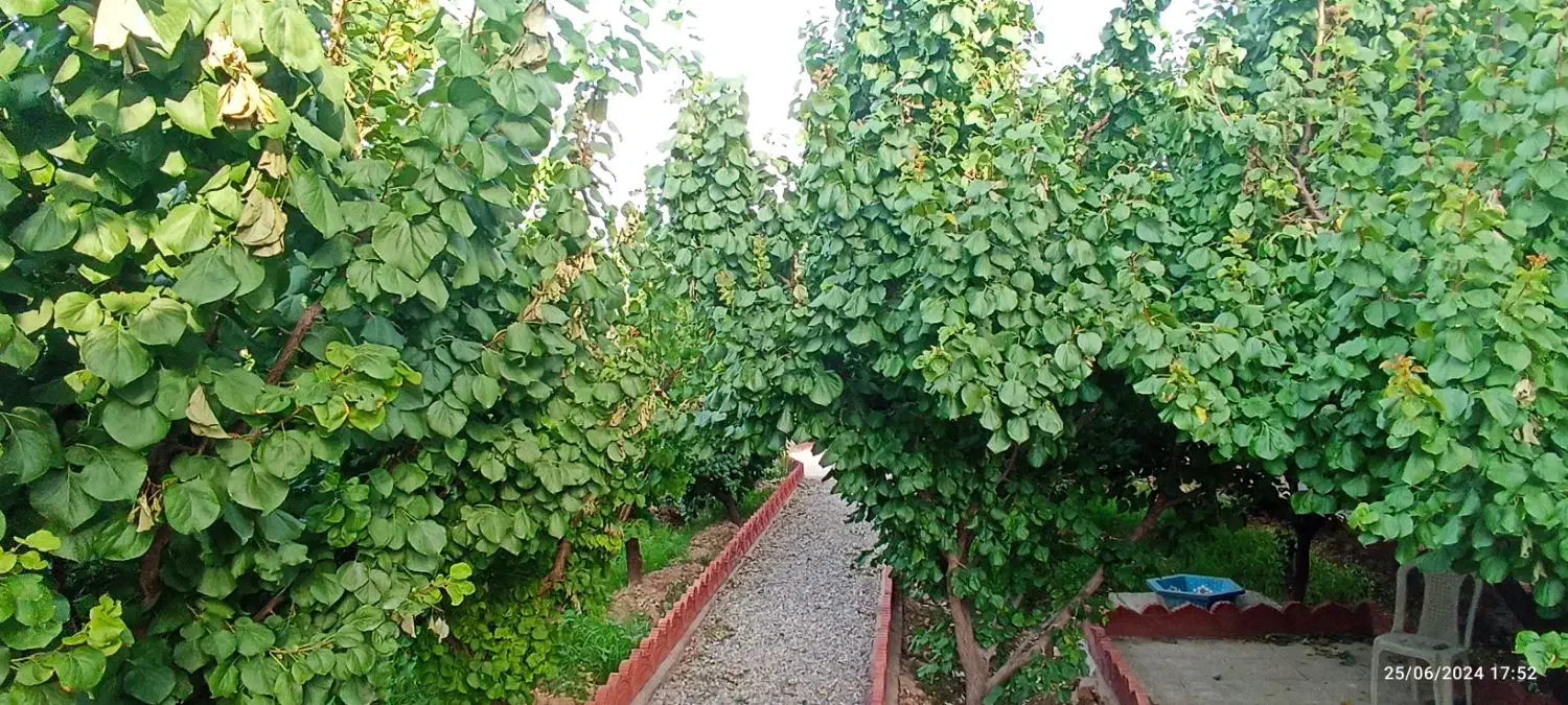 باغچه 500 متری یوسف رضا