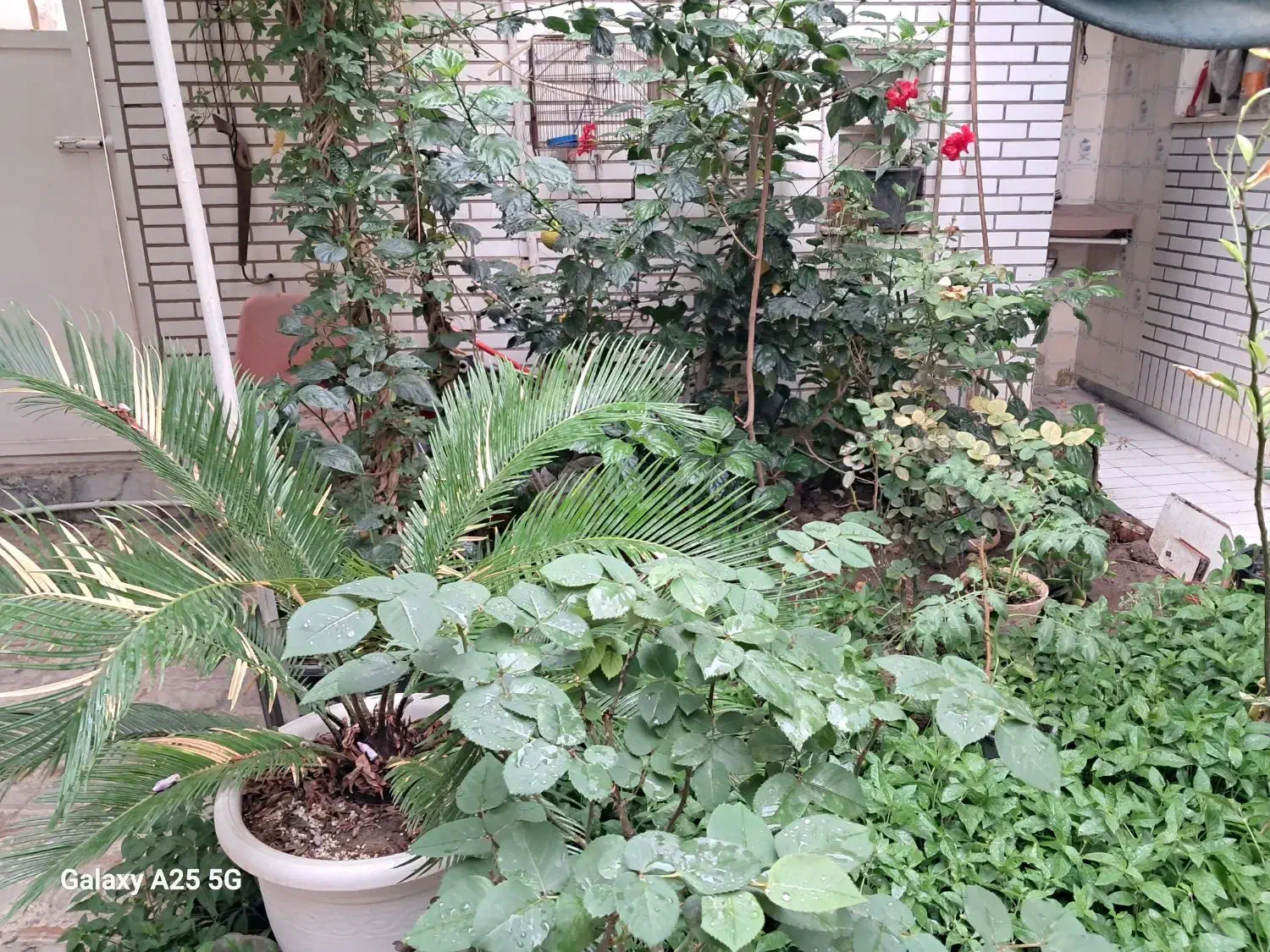 اجاره آپارتمان بلوار ابوذر ۶۷متر