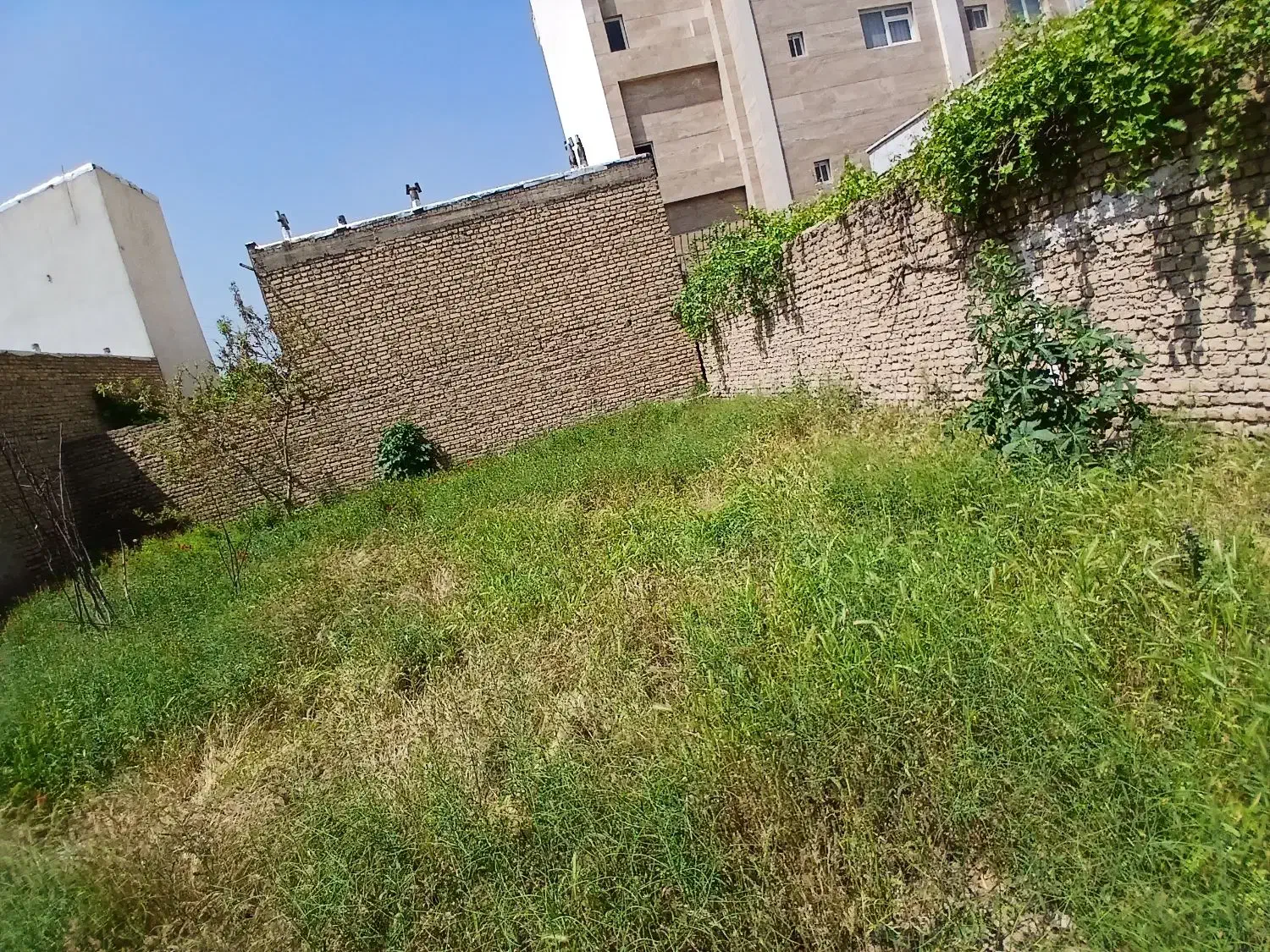 فروش زمین درملاصدرا  ومدرس۹