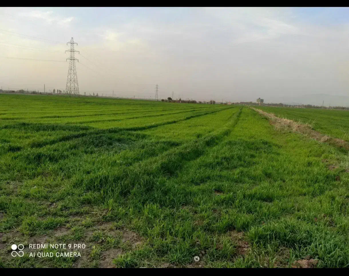 نیم (۰.۵)هکتار زمین آبی روستای میدان