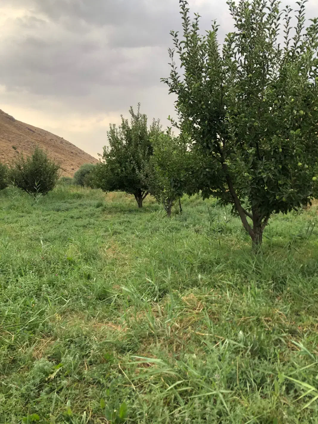 زمین ۱۵۳ متر