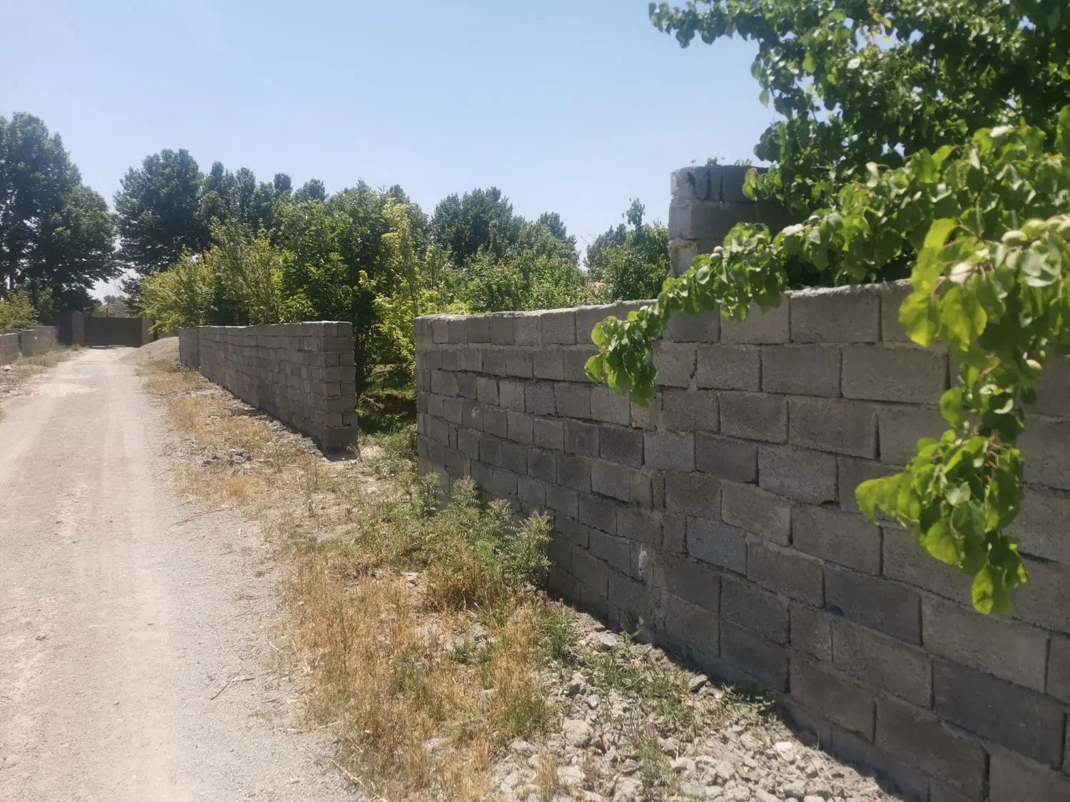 باغچه درمجموعه ویلایی سرسبز و محیط با اصالت