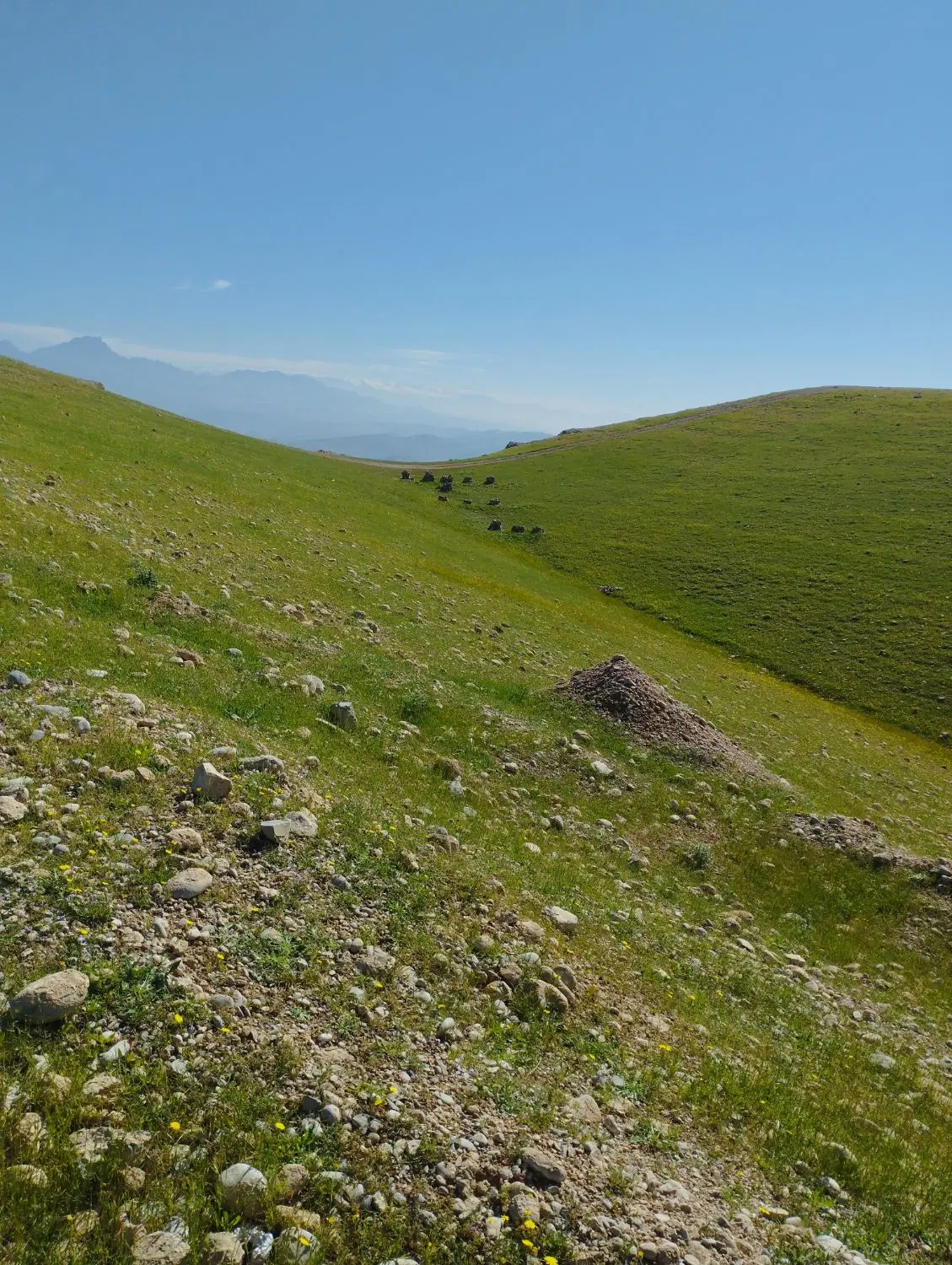 یک قطعه زمین مسکونی در روستای گاومیر با سند