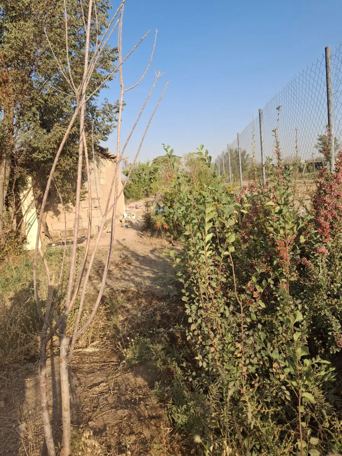 باغ عاشق آباد امام‌خمینی اصفهان
