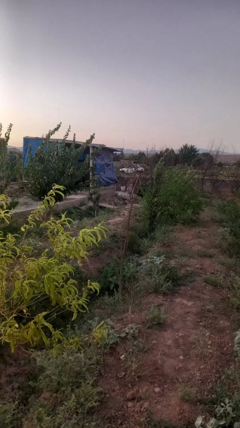 باغچه