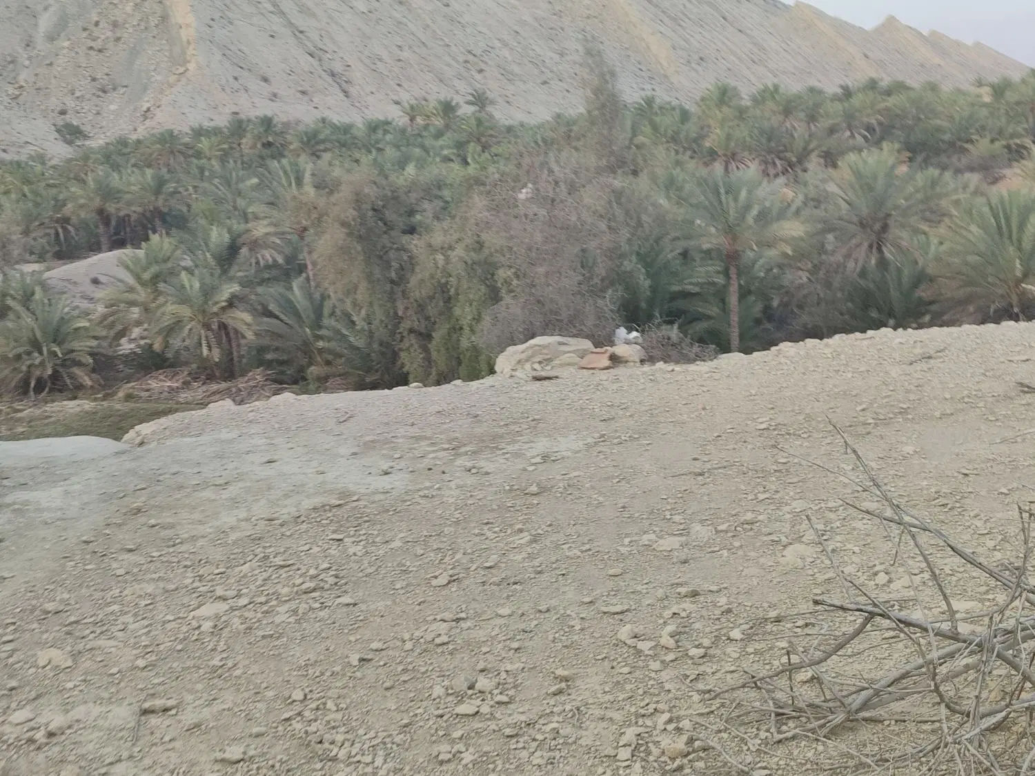 زمین مسکونی