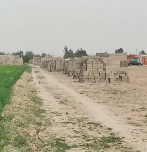 زمین ۴۸۱ متری  در پاکدشت  قلعه نو املاک