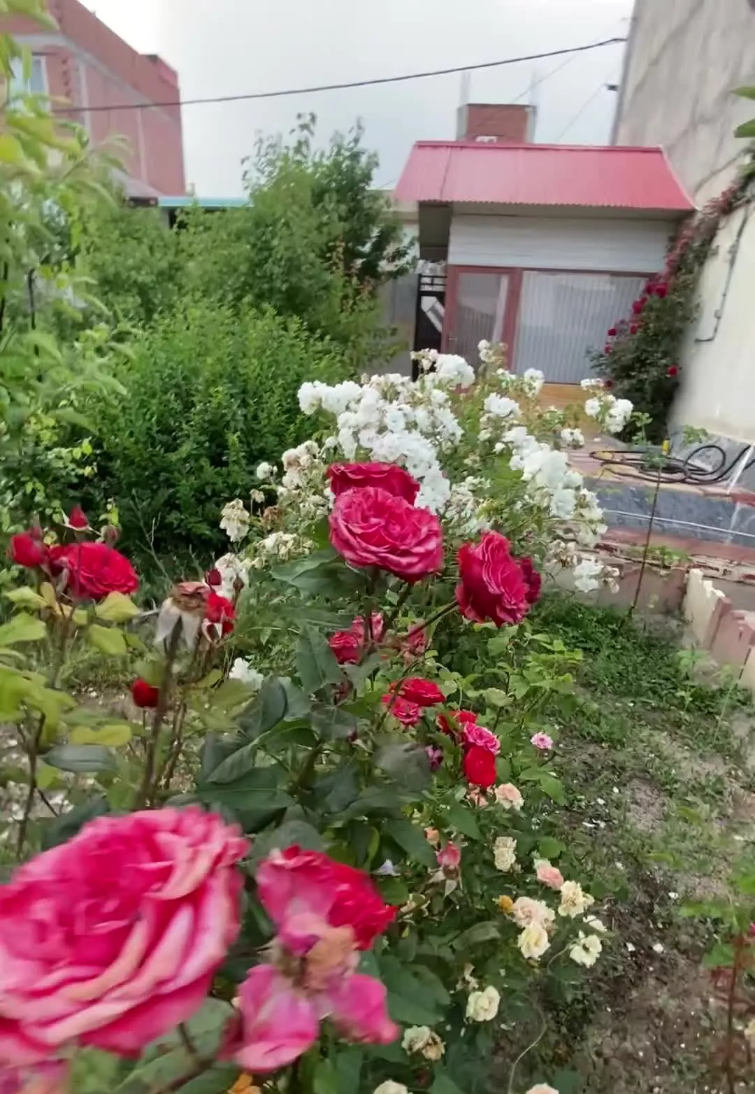 اجاره کوتاه مدت