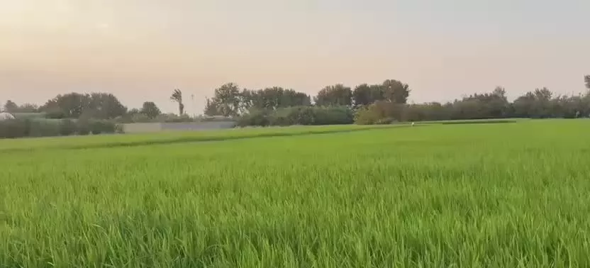 باغ ویلا استخر سرپوشیده آب گرم