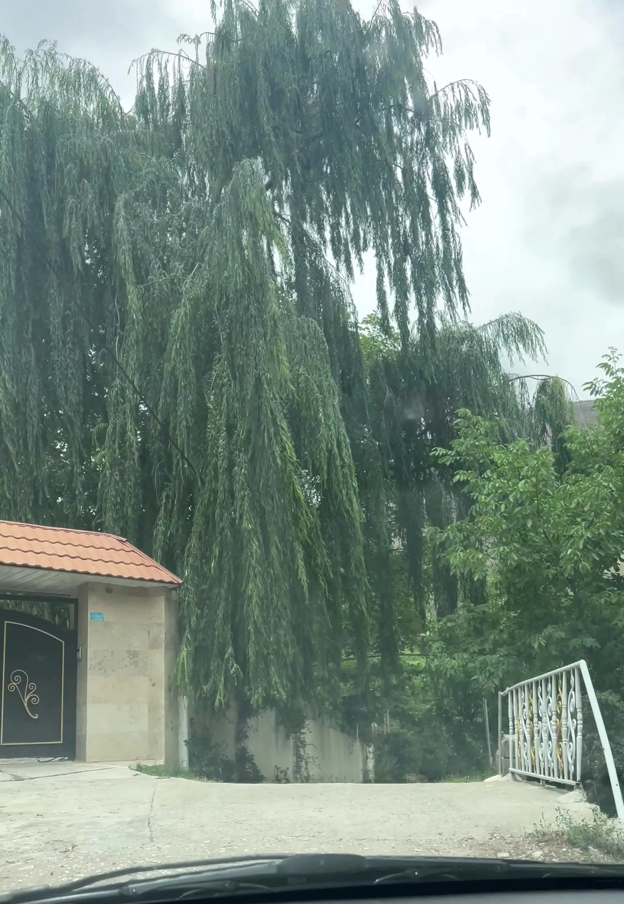زمین در بالای گزنک جاده آبگرم لاریجان