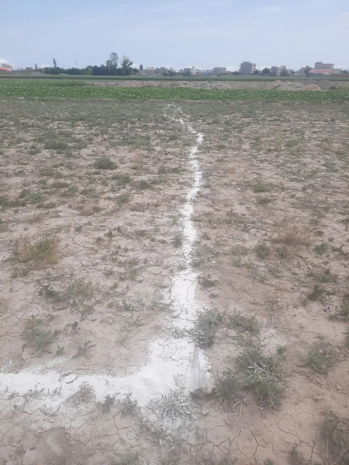 فروش زمین