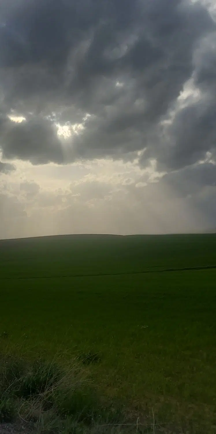 زمین کشاورزی ۲۷۰۰ متری روستای گرمیدر