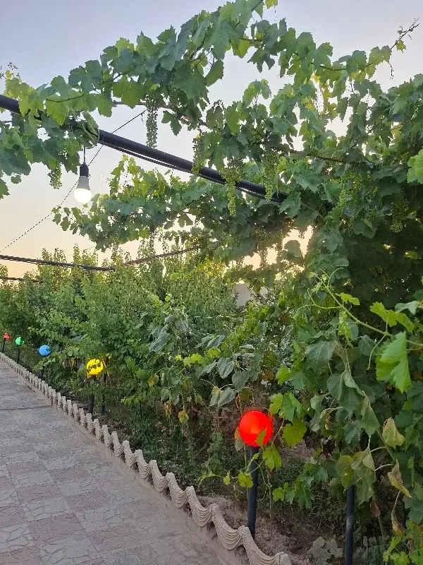 باغ ویلا ۸۰۰ متری جنگلی و قدیمی شهریار دهشادسنددار