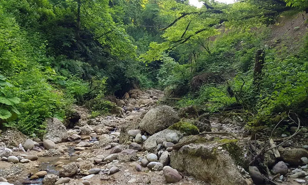 فروش باغچه