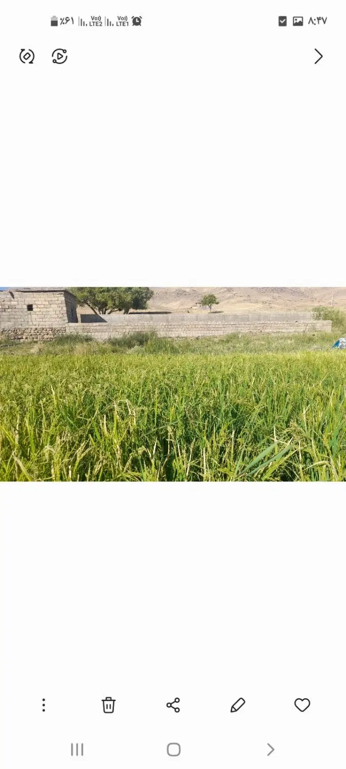 فروش شیلات و باغ