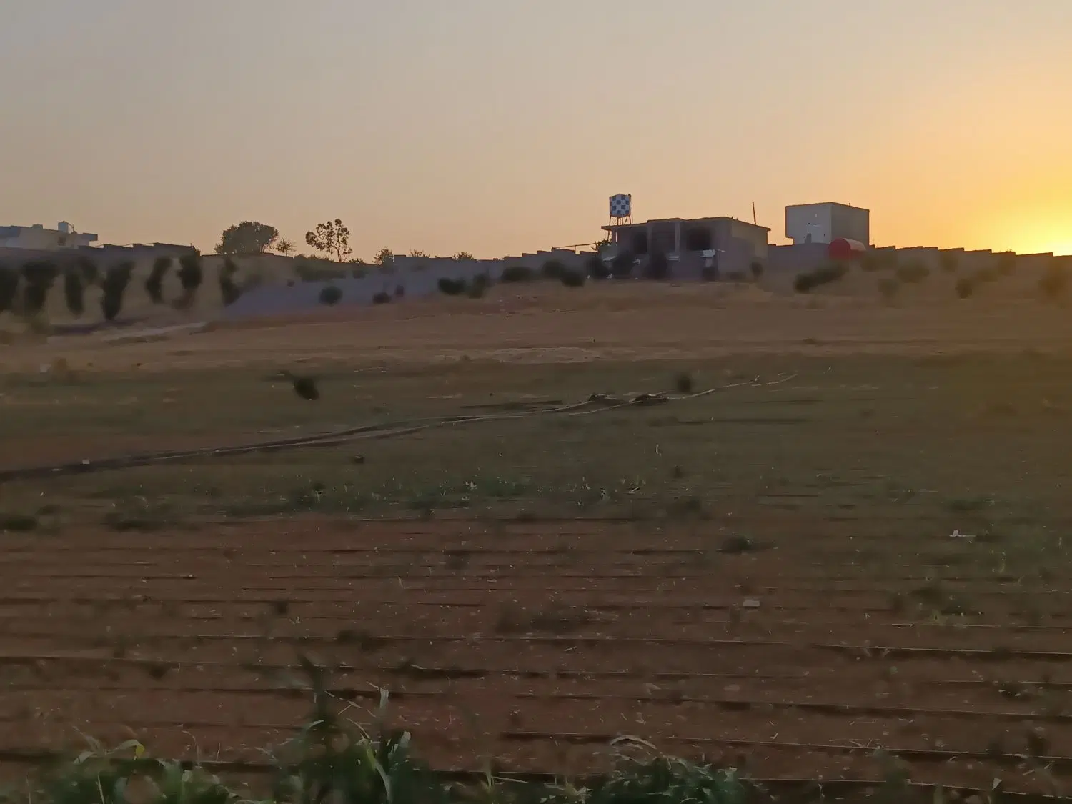 زمین باغ شهری