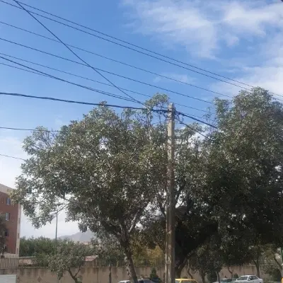 زمین مسکونی زیبا شهر