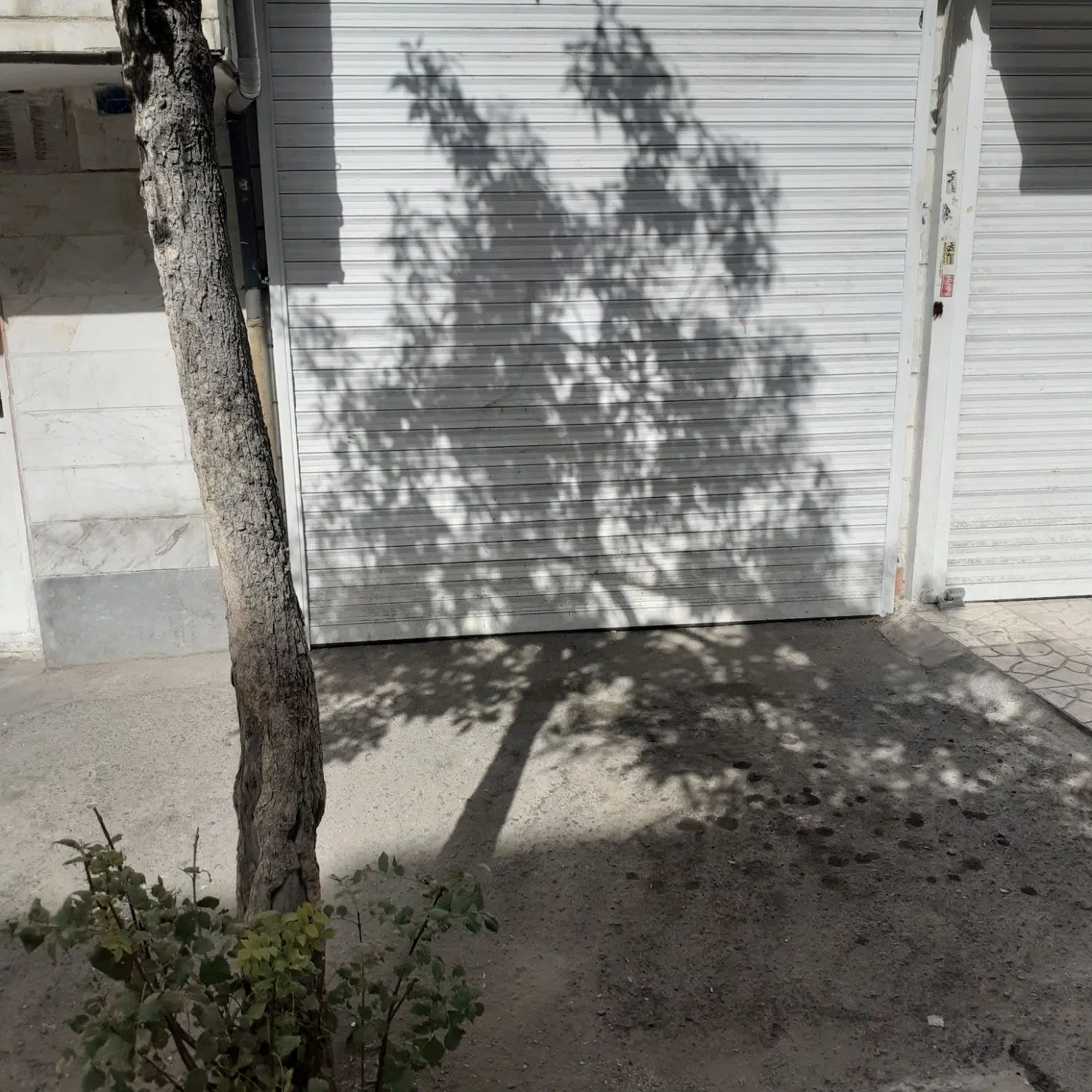 فروش،مغازه
