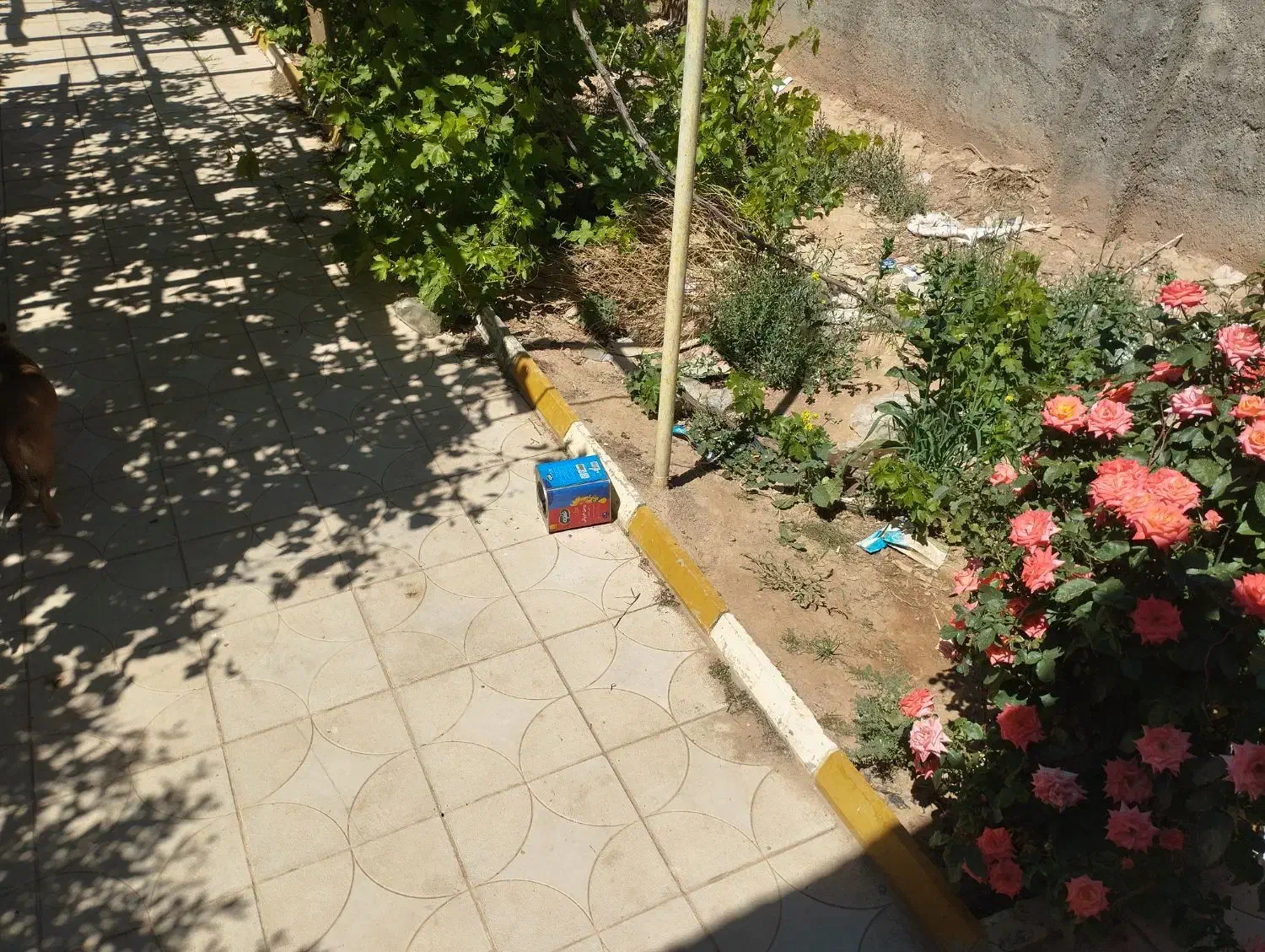 خانه اجاره ای