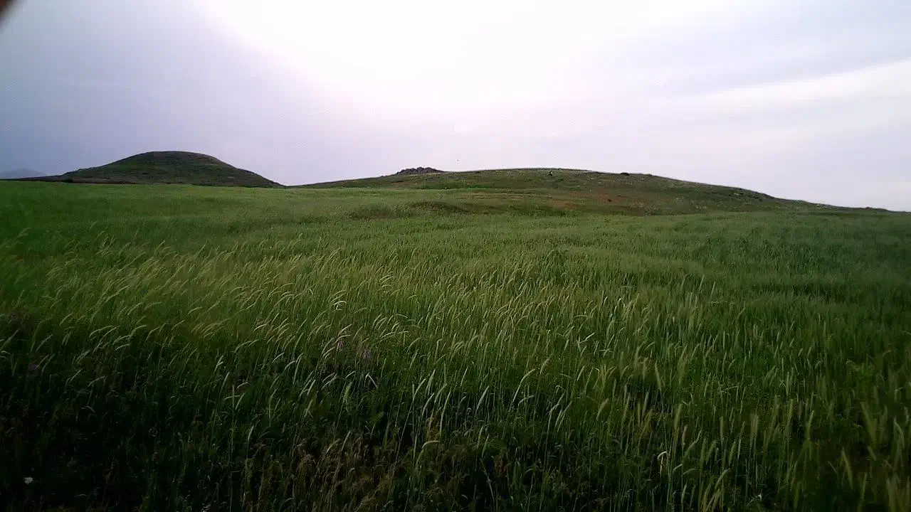 زمین،واقع در دیلمان،محلهء آسیابر سند تک برگ