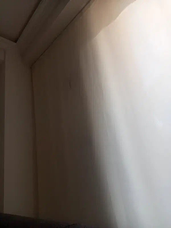 دنبال همخونه