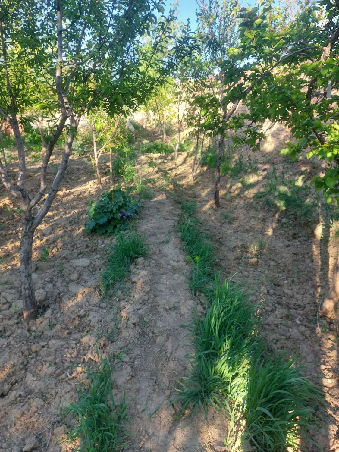 ویلا و زمین  در روستای توریستی سرکندیزج