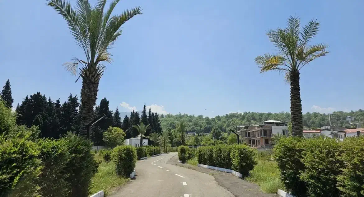 زمین شهرکی قطعه اول جنگل