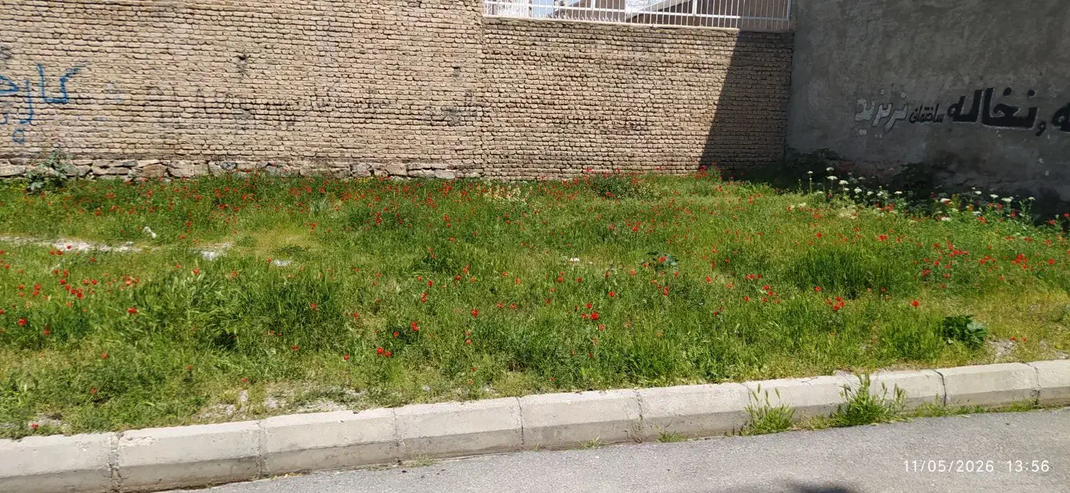 زمین مسکونی وام دار