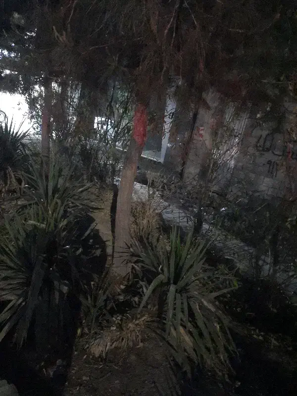 زمین باغ شاهین شهر