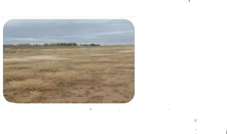 زمین صنعتی