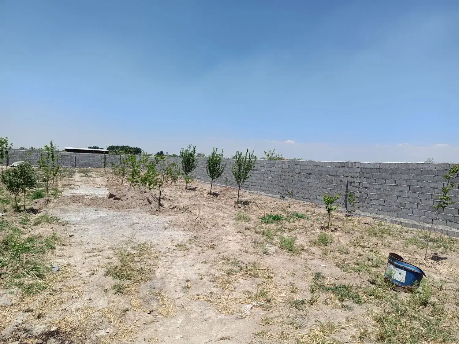 باغچه 1000 متری