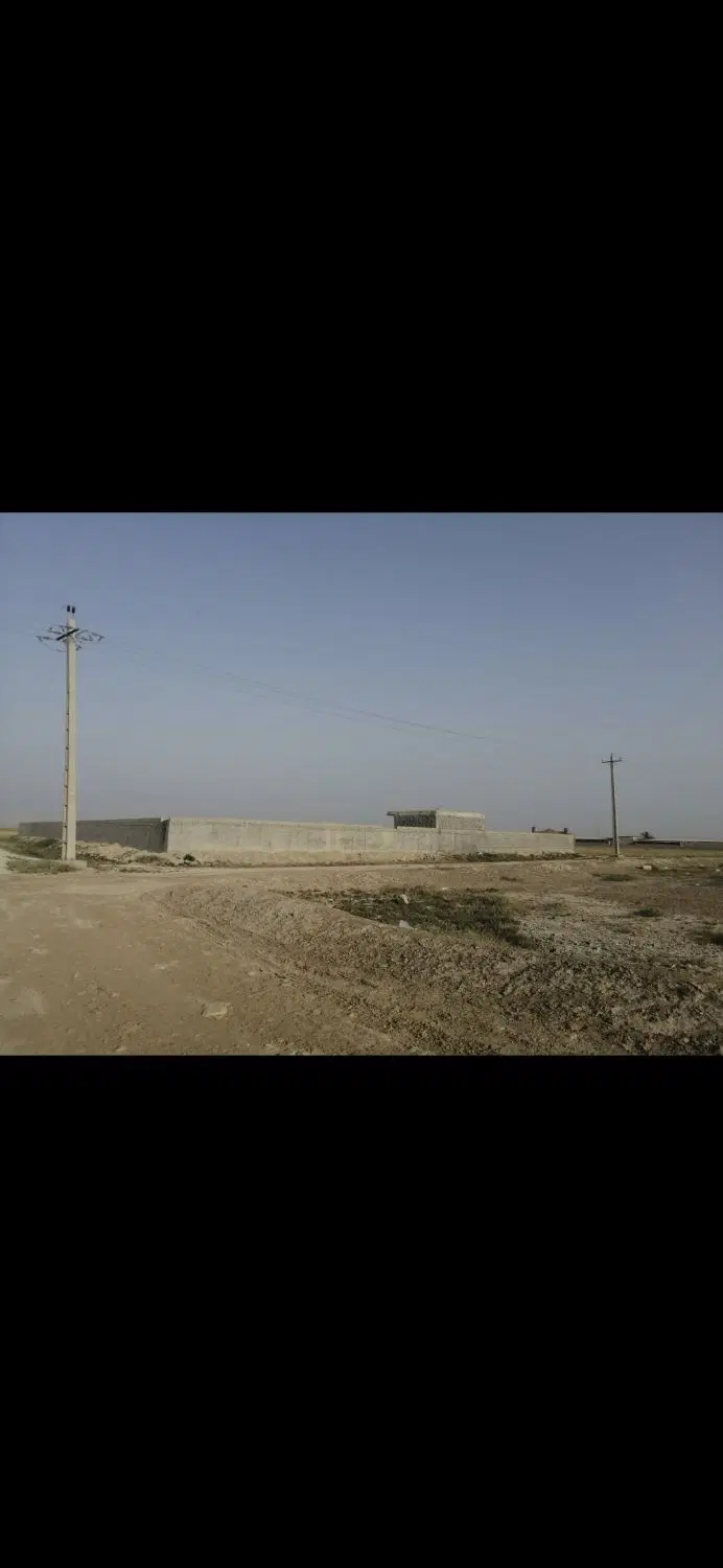 دامداری