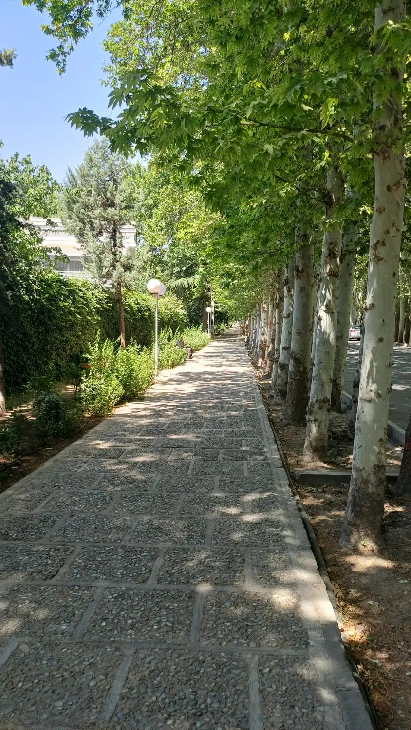 مغازه ۴۶متر دهکده