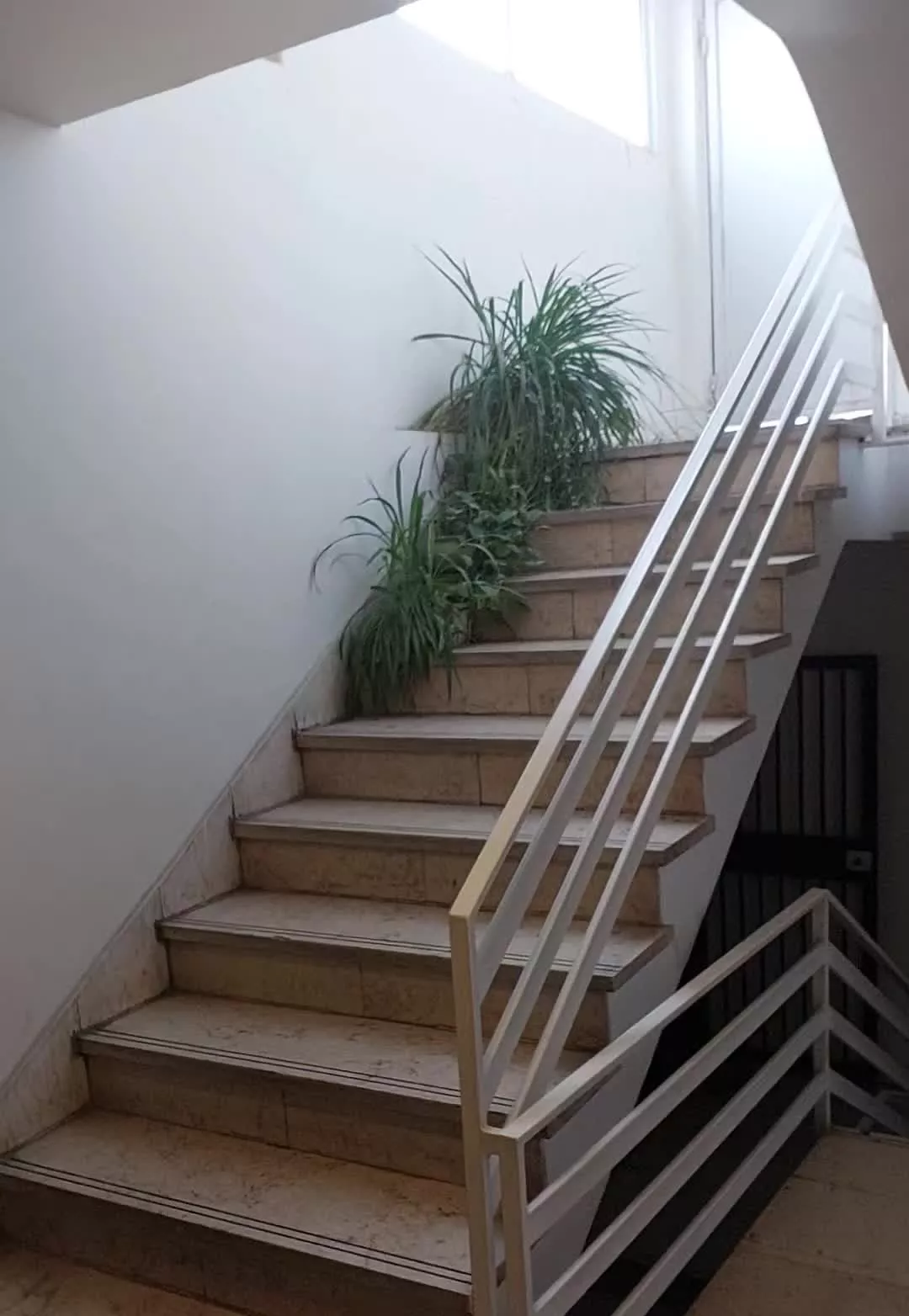 ۱۳۰ متری توانیر شمالی