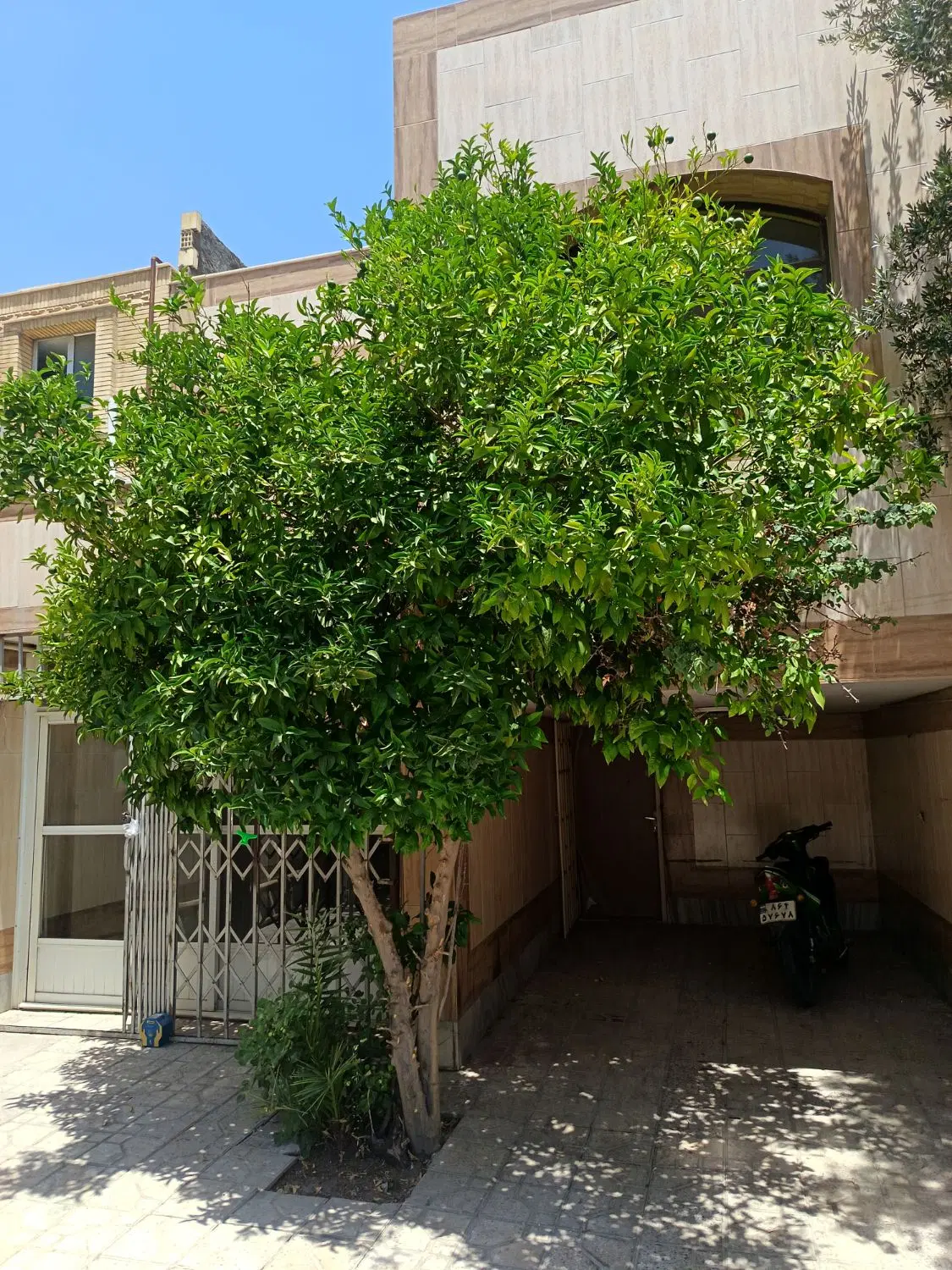 رهن و اجاره ویلایی محدوده رباط اول