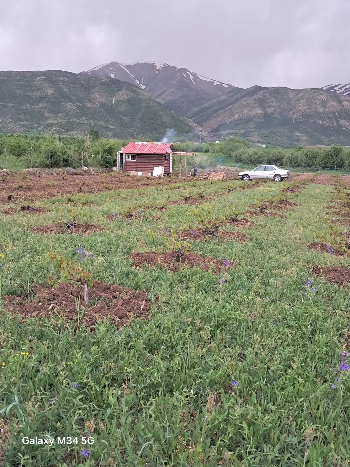 کانکس ویلایی