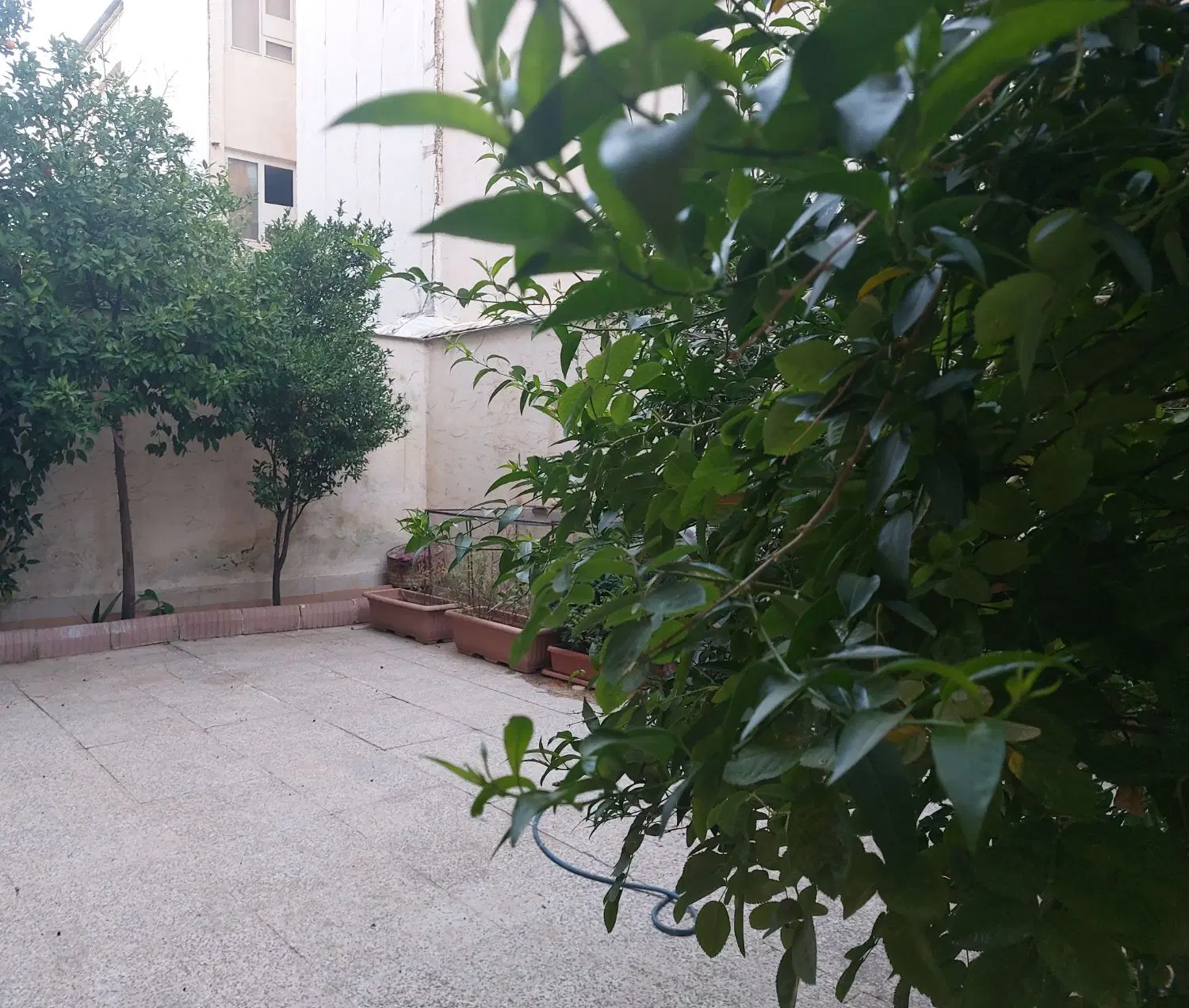 رهن و اجاره آپارتمان ۲ خواب_ حیاط اختصاصی